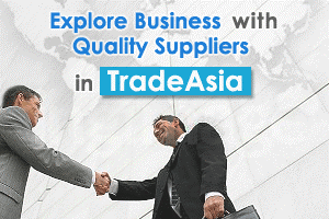 企业网站可透过 DOs 进入TradeAsia