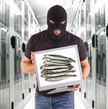 慎防網路釣魚，判斷非法信件有跡可循 !